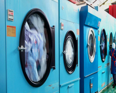 洗滌好色先生TV在线观看