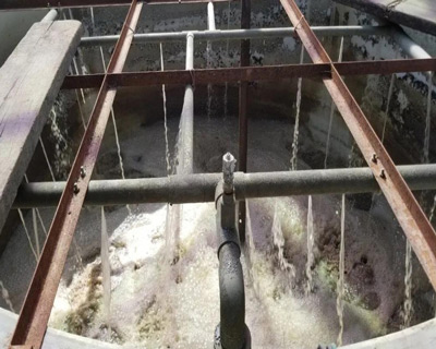 好氧池好色先生TV在线观看