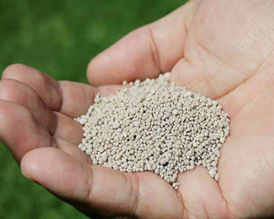 化肥好色先生TV在线观看