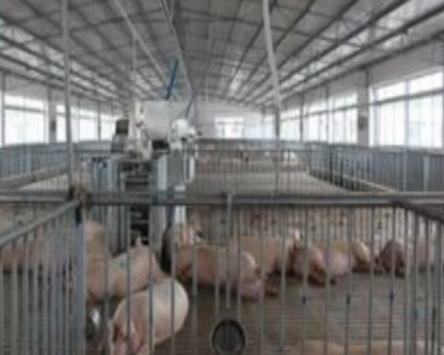 飼養廠汙水好色先生TV在线观看