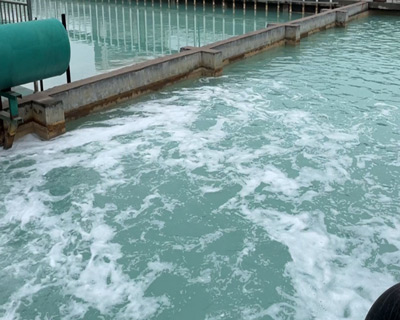 廢水好色先生TV在线观看