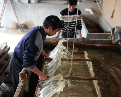 造紙好色先生TV在线观看