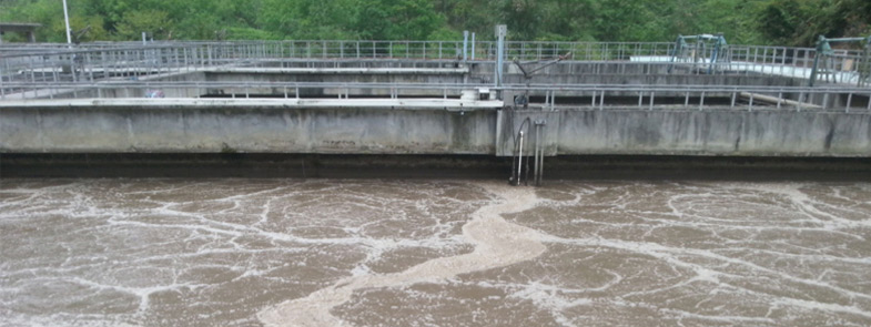 養殖汙水好色先生TV在线观看