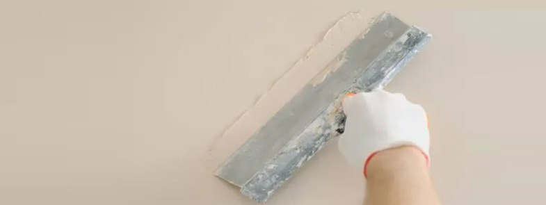 膩子粉好色先生TV在线观看