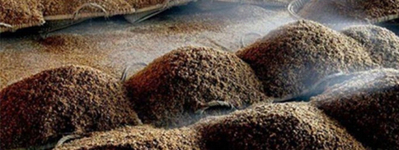 發酵好色先生TV在线观看