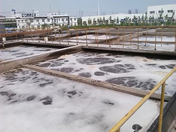 水池好色先生TV在线观看