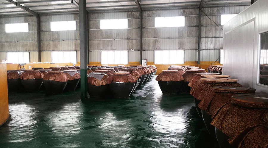 發酵好色先生TV在线观看