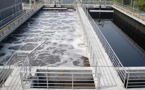 生物水處理好色先生TV在线观看