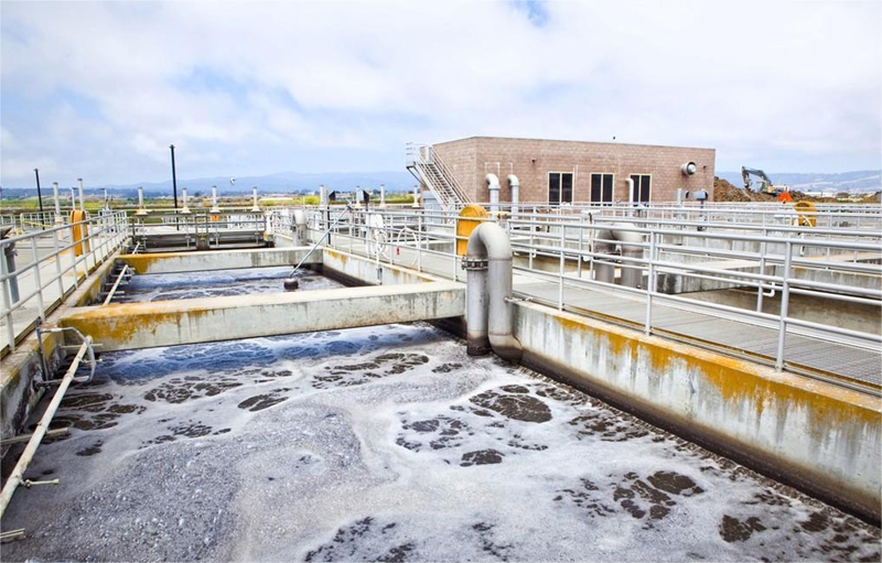 水性好色先生TV在线观看