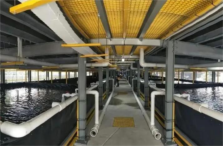 循環水好色先生TV在线观看