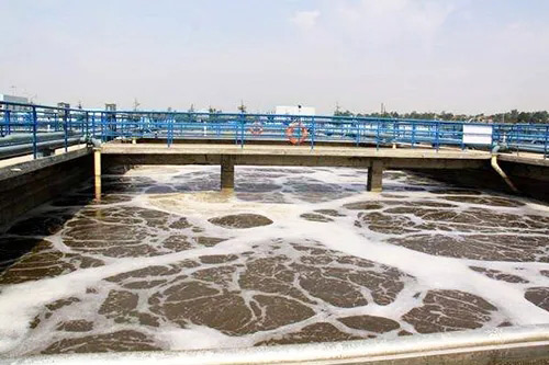 聚醚好色先生TV在线观看