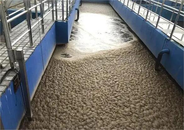 水處理好色先生TV在线观看