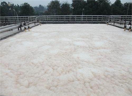 曝氣池好色先生TV在线观看