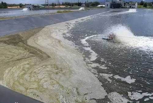 水池好色先生TV在线观看