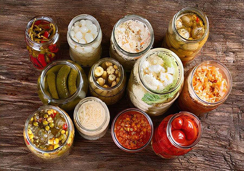 微生物發酵好色先生TV在线观看